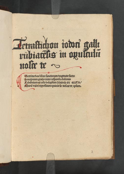 Zur Seitenansicht