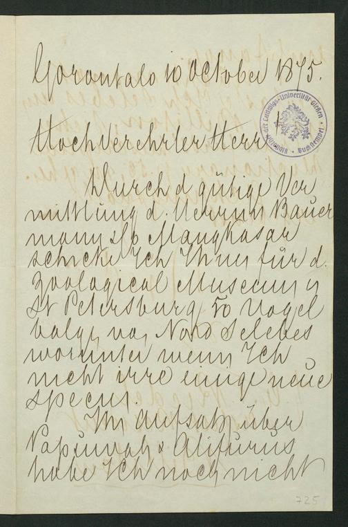 Zur Seitenansicht