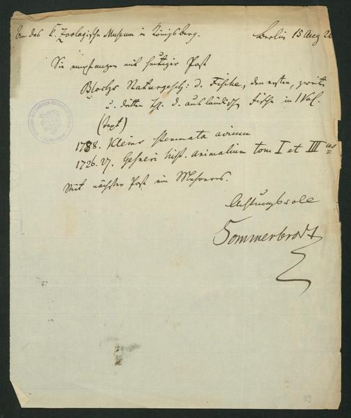 Zur Seitenansicht