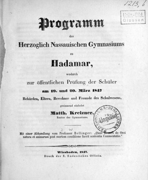 Zur Seitenansicht