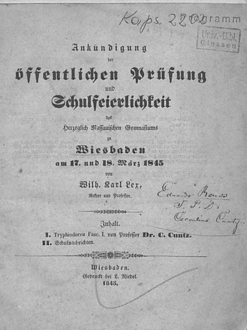 Zur Seitenansicht