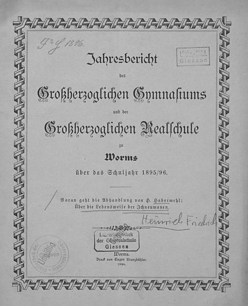Zur Seitenansicht