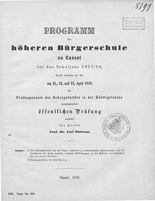 Zur Seitenansicht
