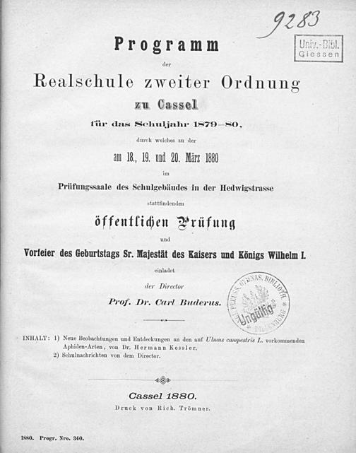 Zur Seitenansicht