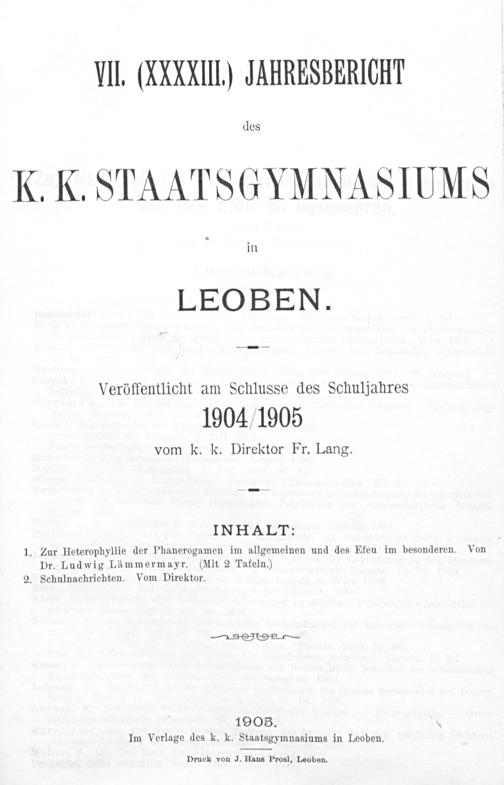Zur Seitenansicht