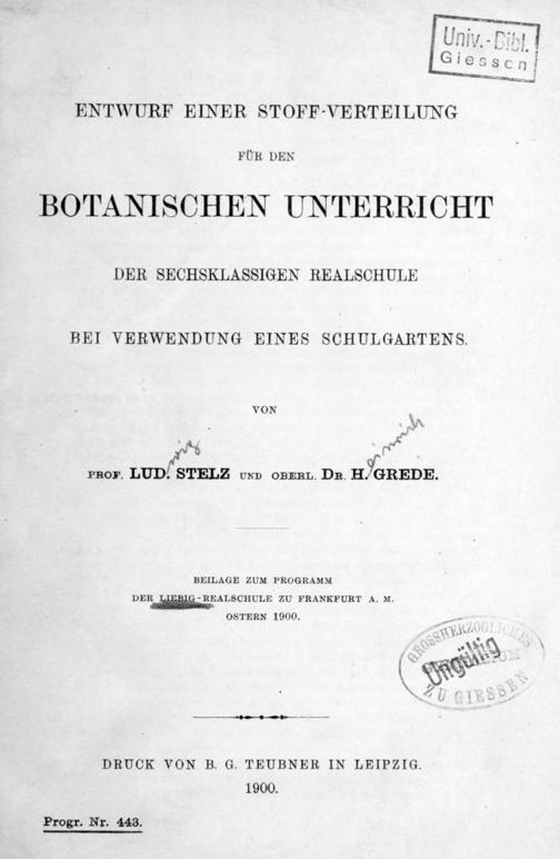 Zur Seitenansicht