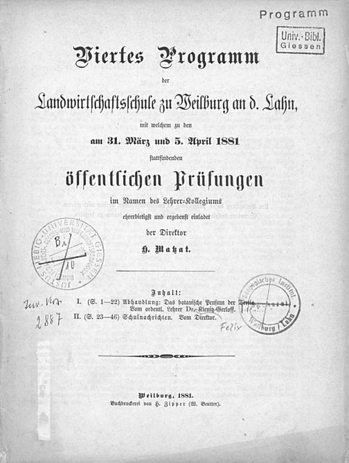 Zur Seitenansicht