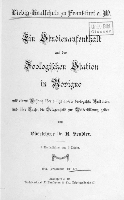 Zur Seitenansicht