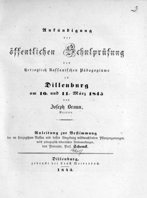 Zur Seitenansicht