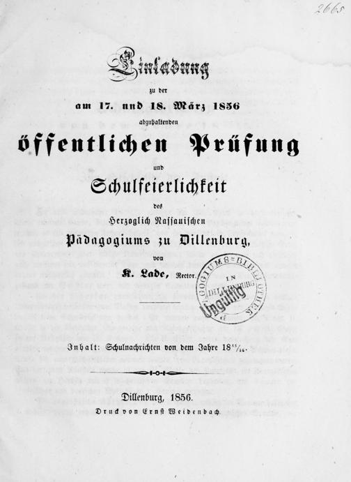 Zur Seitenansicht