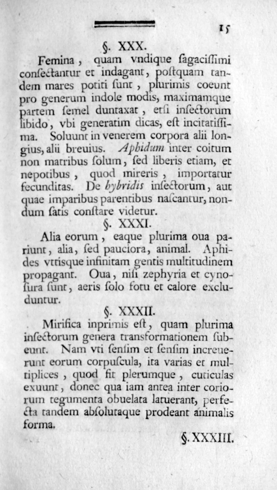 Seite