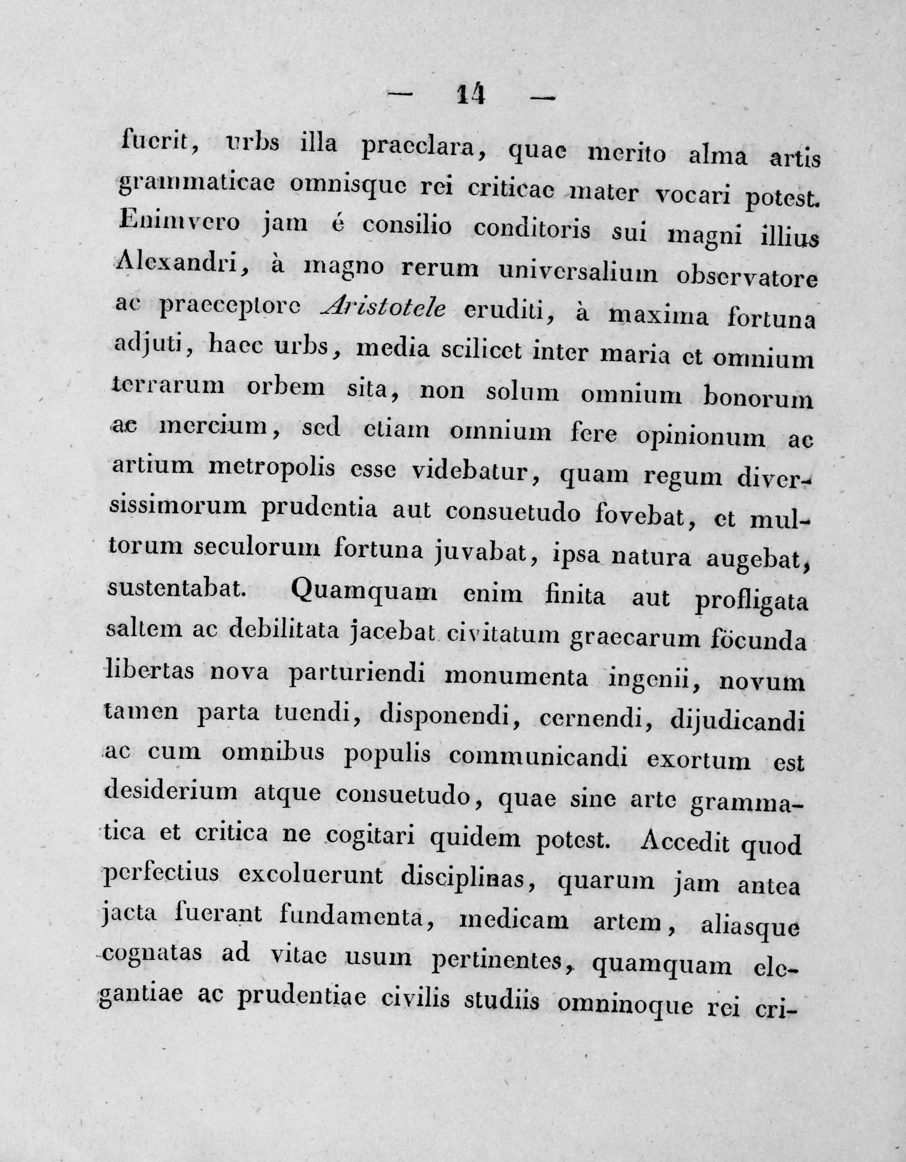 Seite