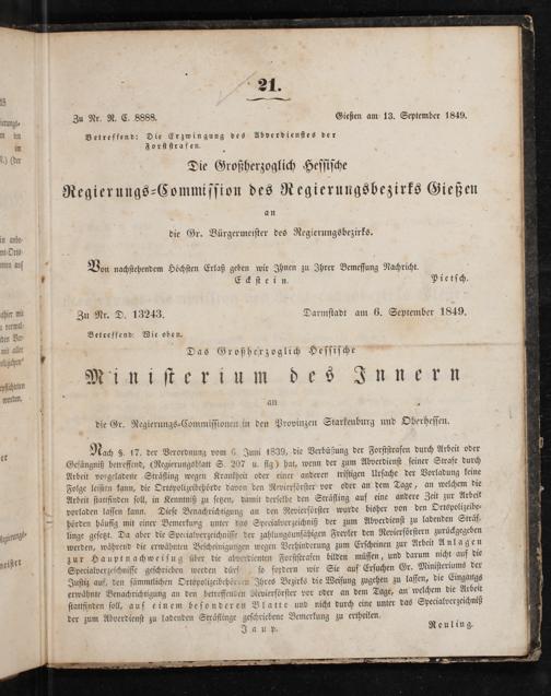 Zur Seitenansicht